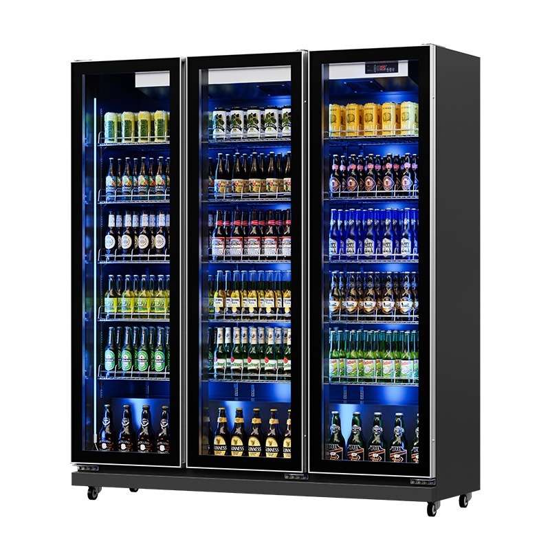Frigoriferi Espositori per Bev - Wine Zero Alcohol recensione e prezzo